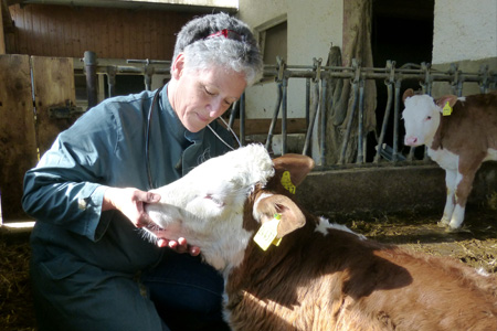 Osteopathie, die Behandlung…